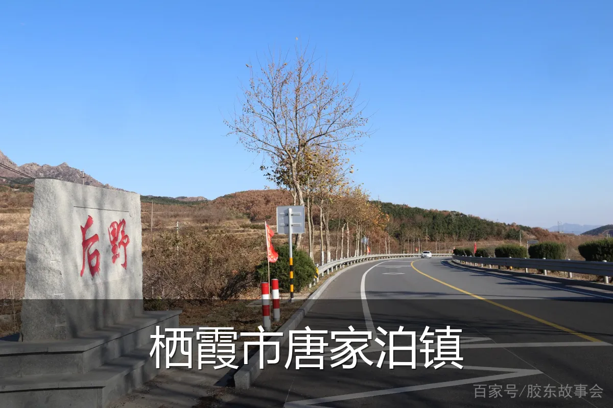 栖霞市唐家泊镇